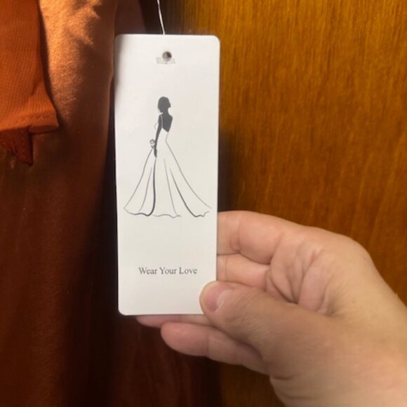 NWT Wear Your Love copper/rust colored dress - Picture 3 of 4